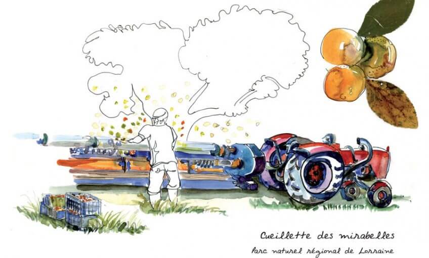 Le dessin de la semaine par Anne Bronner