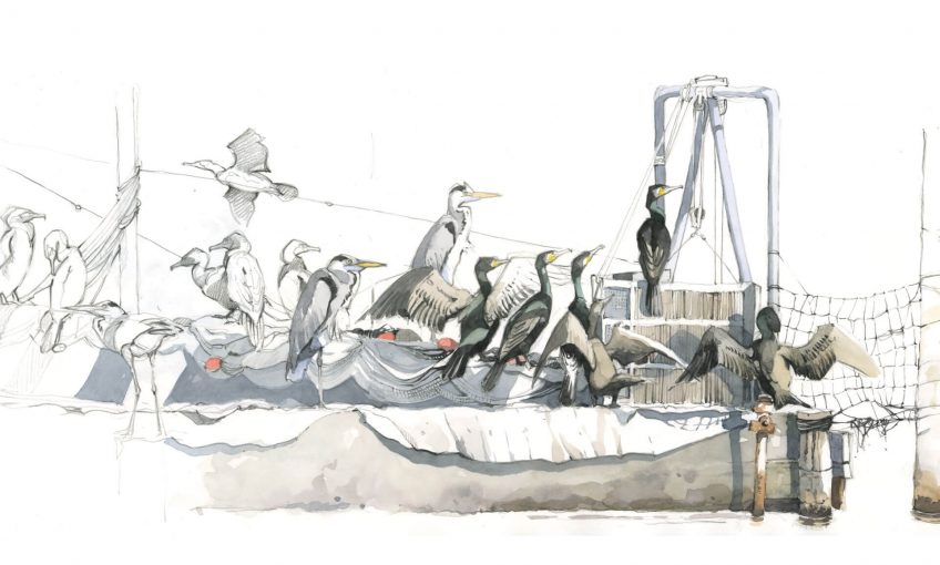 Confessions d'un pêcheur surdoué, le cormoran