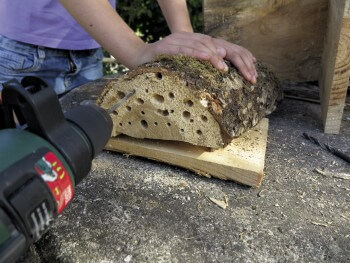 Construisez un abri à insectes pour l'hiver