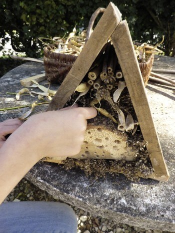 Construisez un abri à insectes pour l'hiver