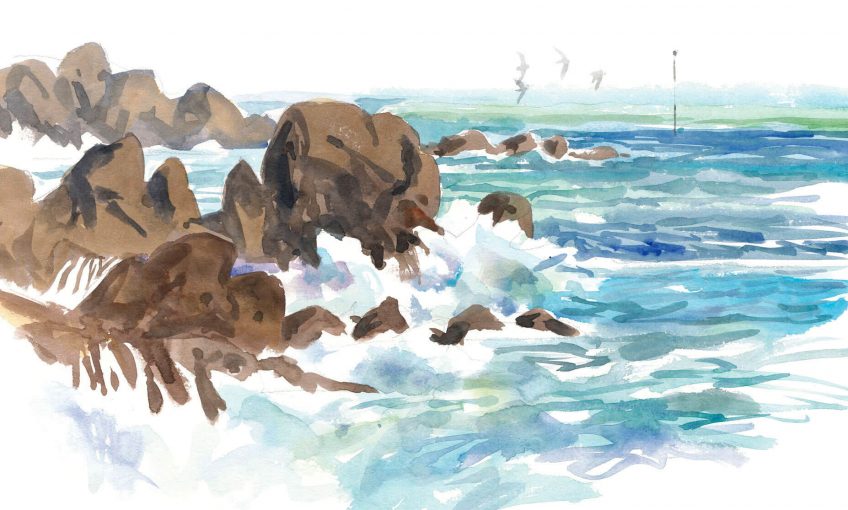 La vie à marée basse