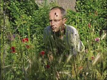 A la chasse aux graines