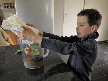 Fabriquez un lombricomposteur pour composter vos déchets organiques