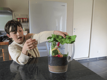 Fabriquez un lombricomposteur pour composter vos déchets organiques