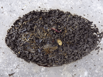 Fabriquez un lombricomposteur pour composter vos déchets organiques