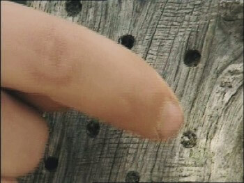 Des maisons pour les abeilles