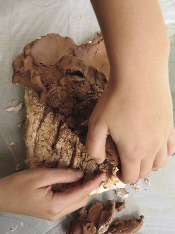 Réaliser un moulage d'écorce d'arbre