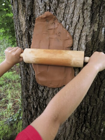 Réaliser un moulage d'écorce d'arbre