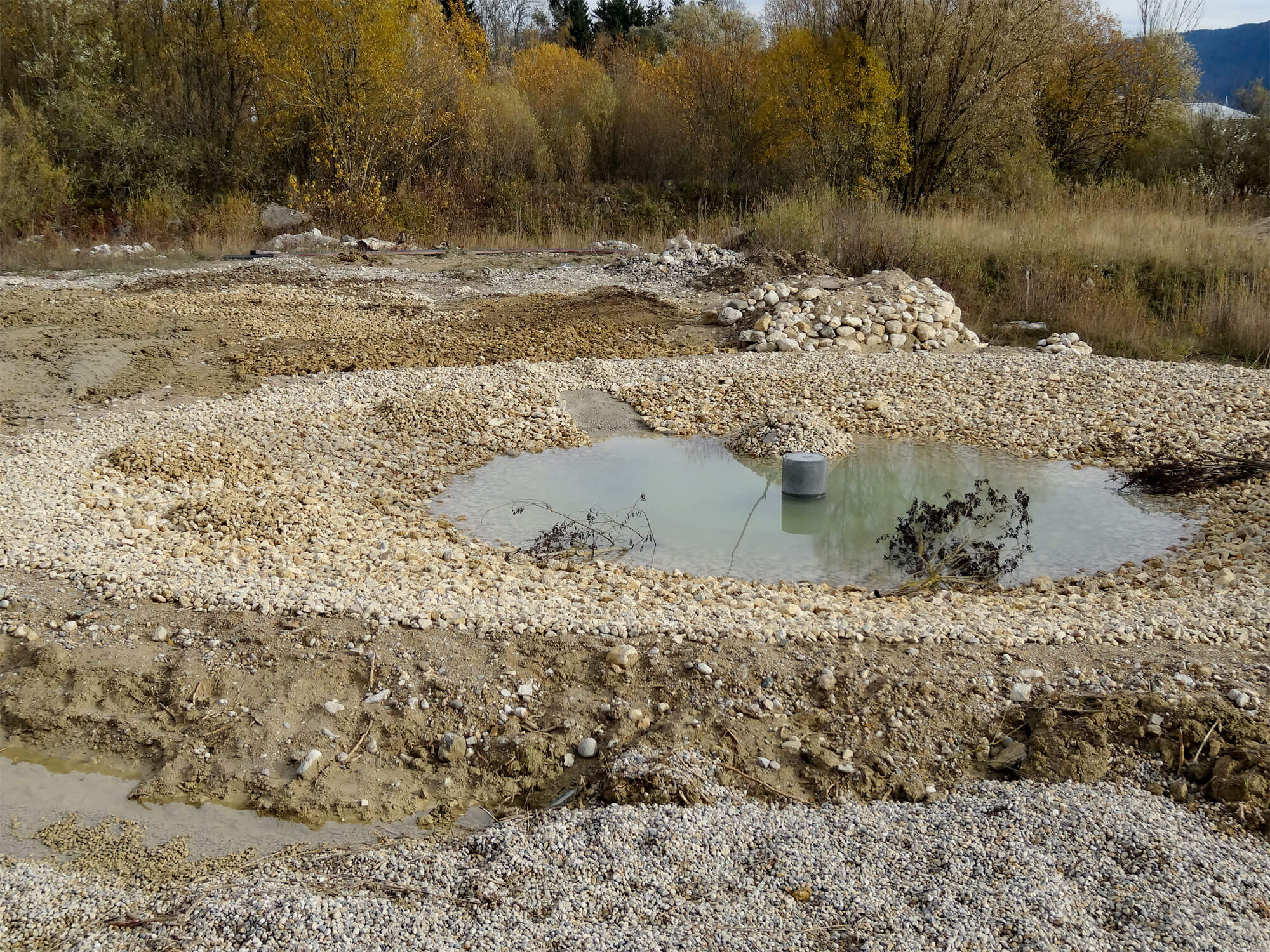 Mare pour amphibiens
