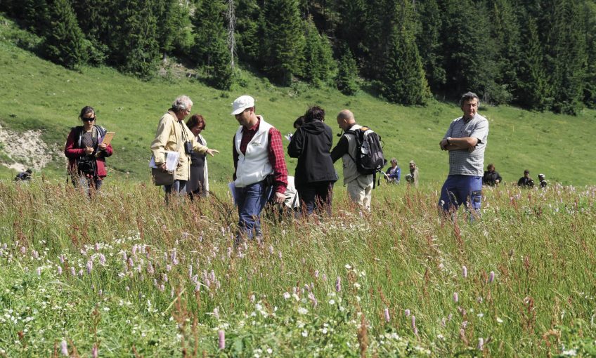 Concours des prairies fleuries dans le haut Jura 2014