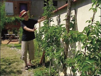 Jardinez avec le soleil