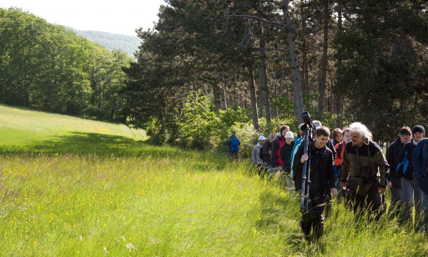 C'est la fête de la nature en Suisse du 23 au 25 mai 2014