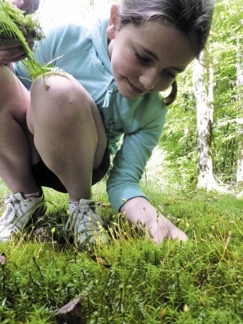 Un memory forestier grandeur nature, un jeu à tester en famille