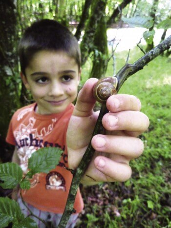Le memory forestier, un jeu en plein air pour toute la famille