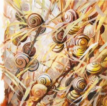 Le soleil est l'ennemi principal de l'escargot