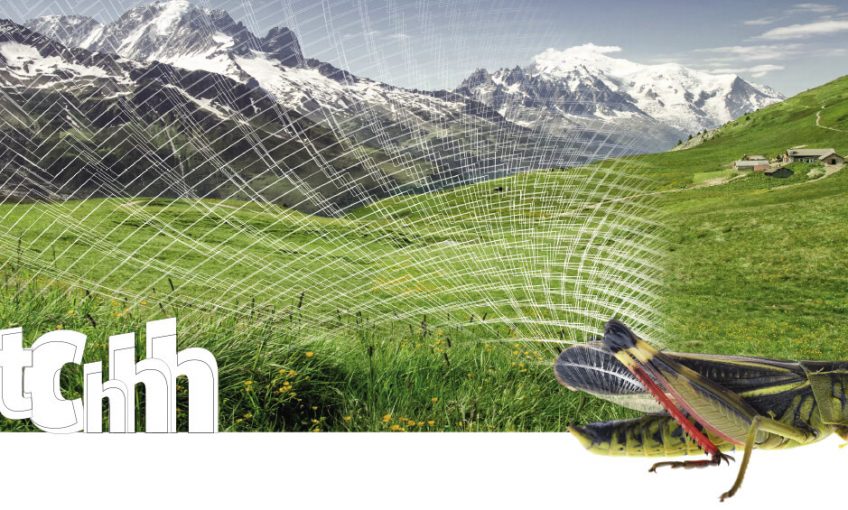 Les joueurs de violon dans la nature