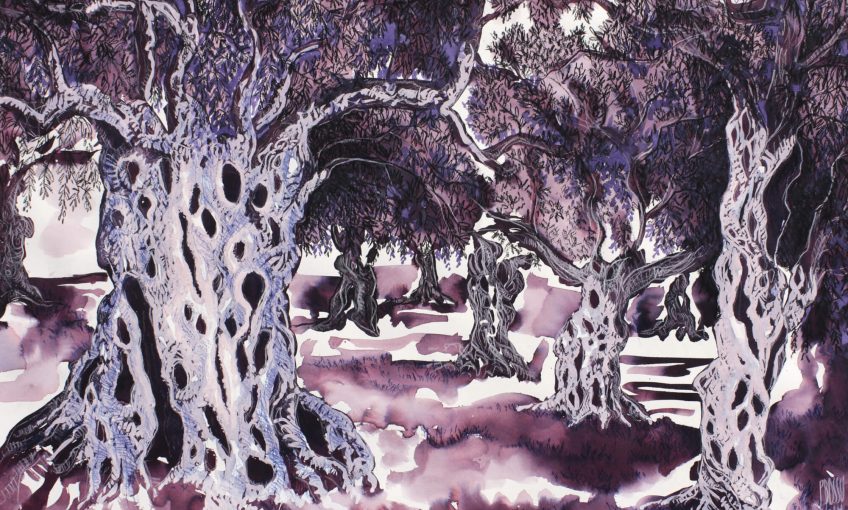 Olivier, arbre de paix et immortel