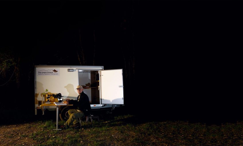 Lumières sur les papillons de nuit