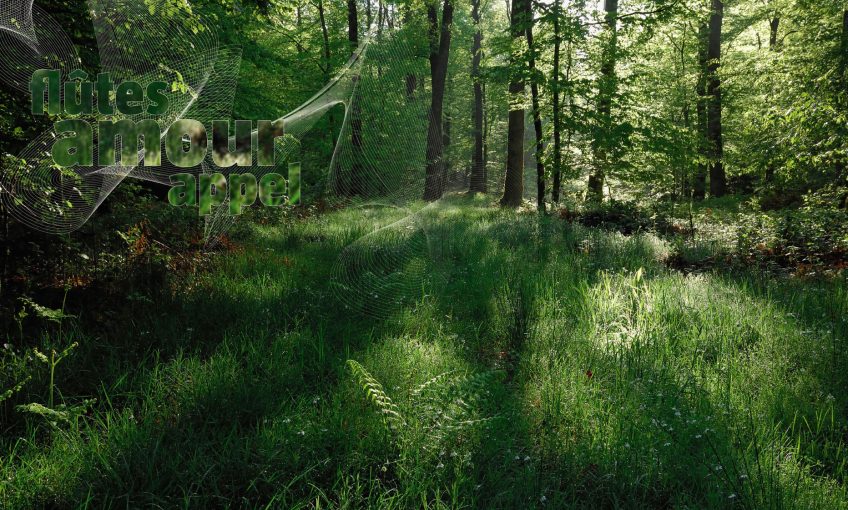 La forêt qui chante