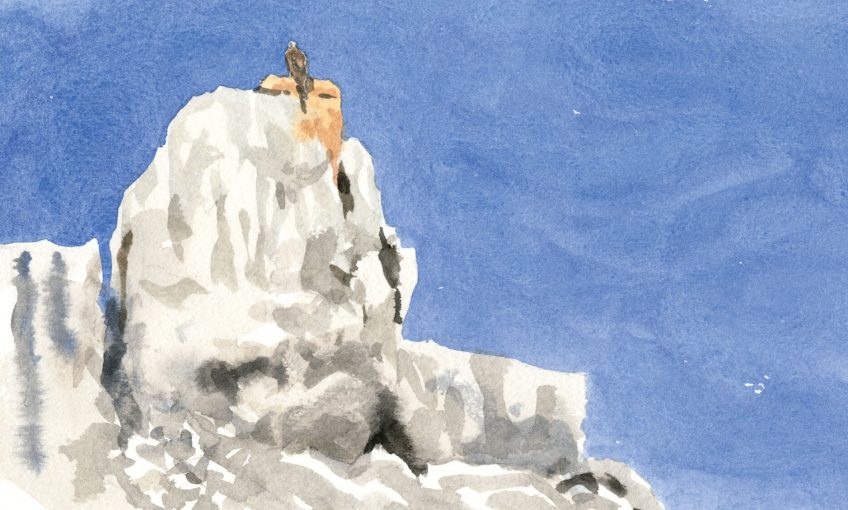 Pas de couronne pour l'aigle héritier