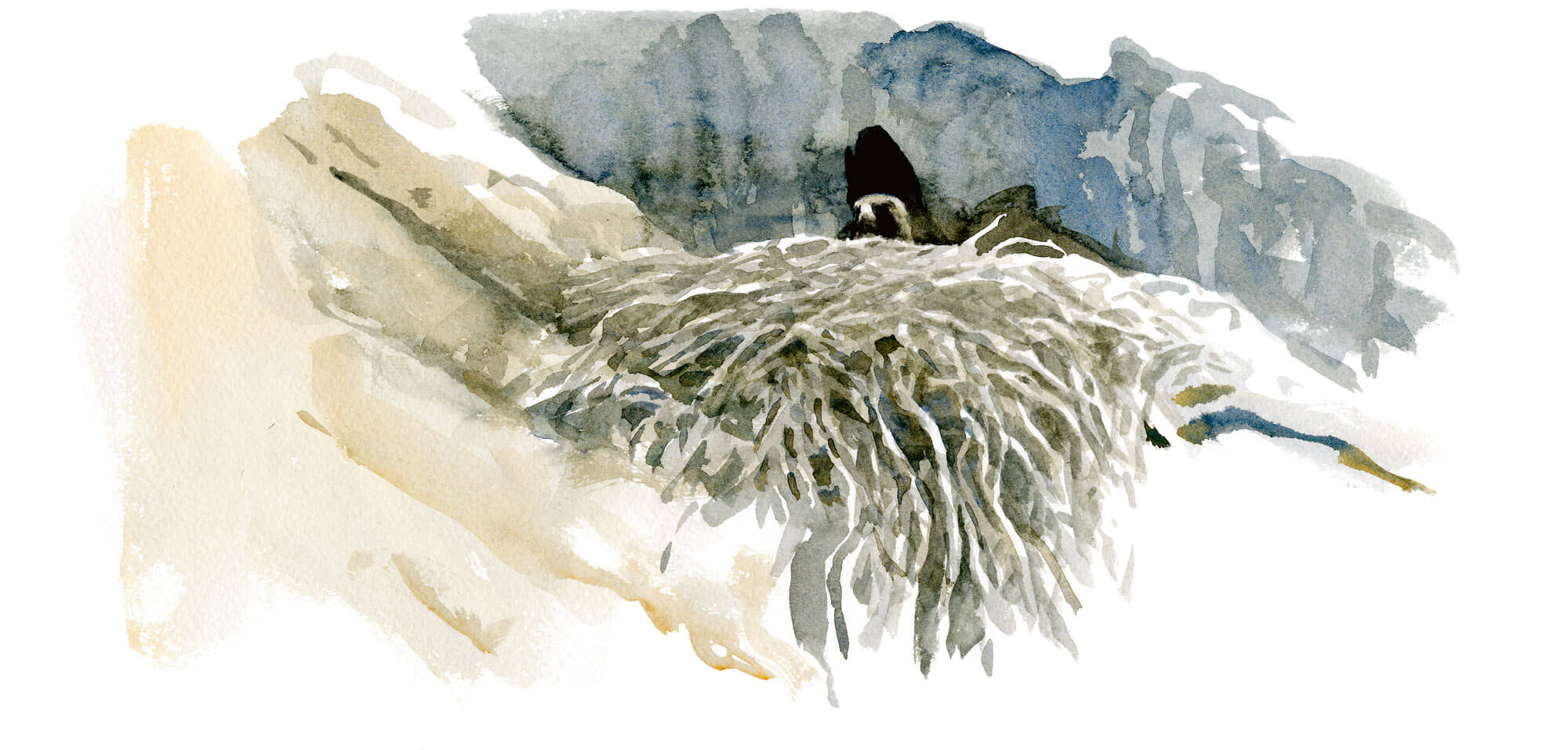 Noces royales sur la corniche des aigles