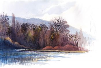 En plein cœur de l'hiver, le gui décore la forêt riveraine.