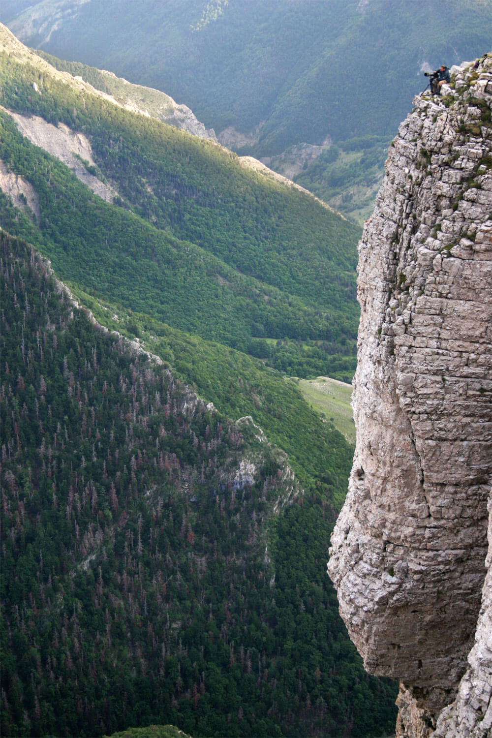 Vertige sur rencontre, film sur l'aigle royal