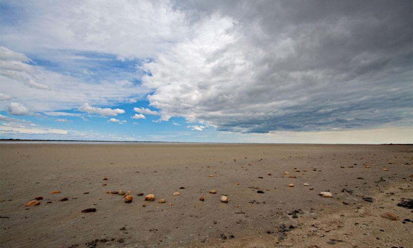 Balade en Camargue dans le vent et les pieds dans l'eau