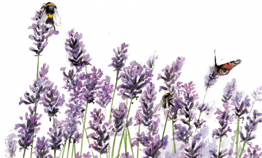 Fleurir pour les abeilles