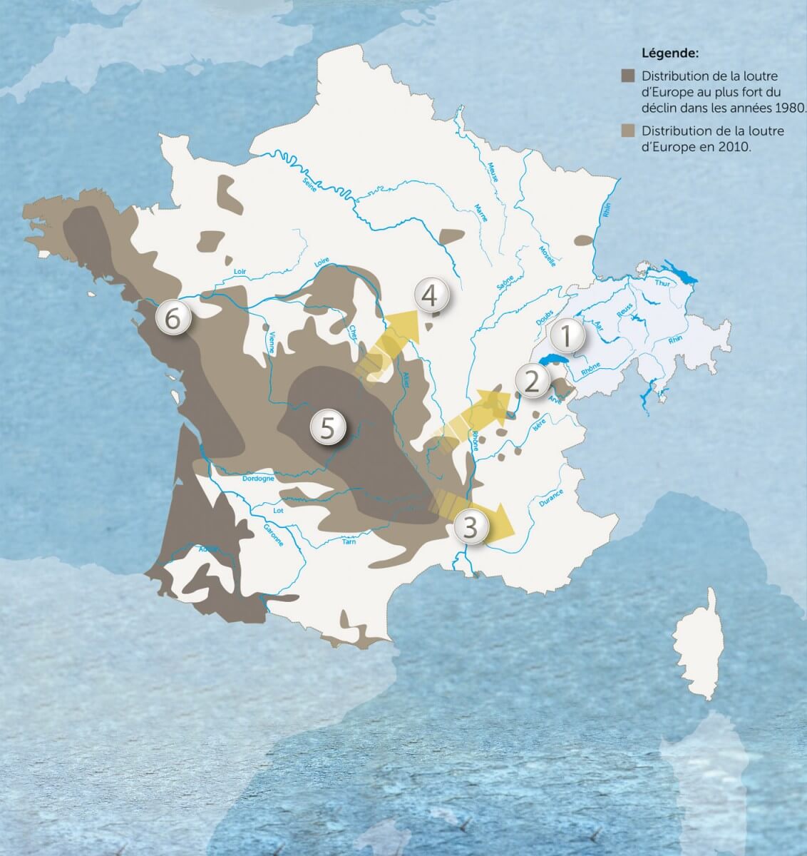 ville de suisse en 4 lettres