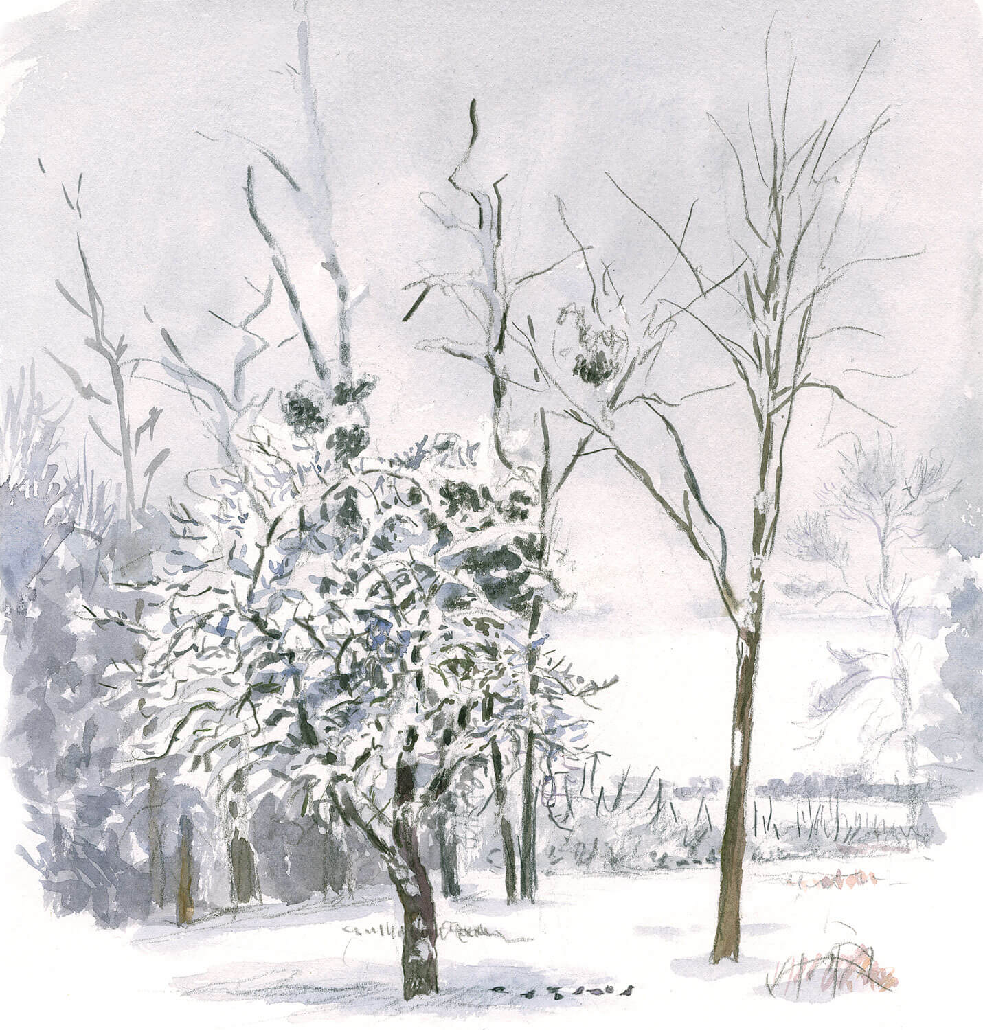 paysage enneigé