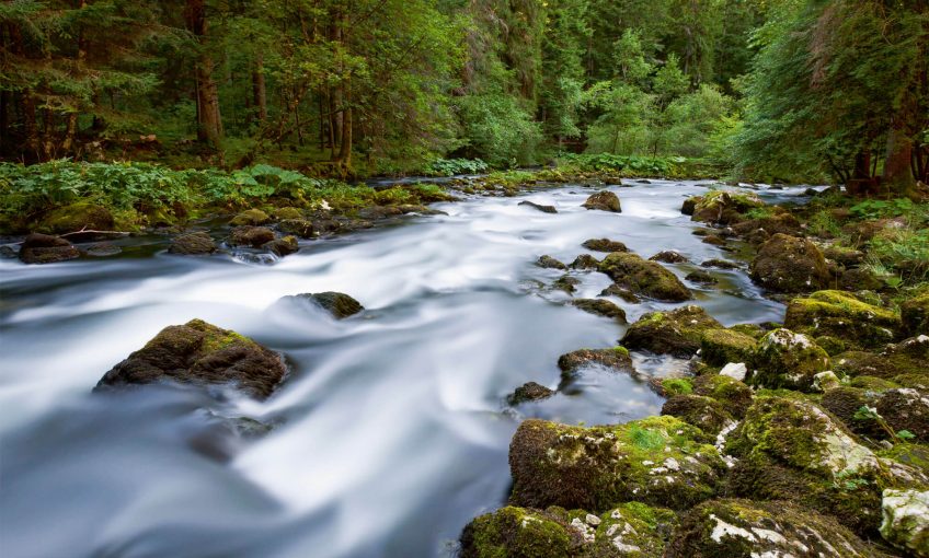 Quand la rivière Orbe déborde au printemps