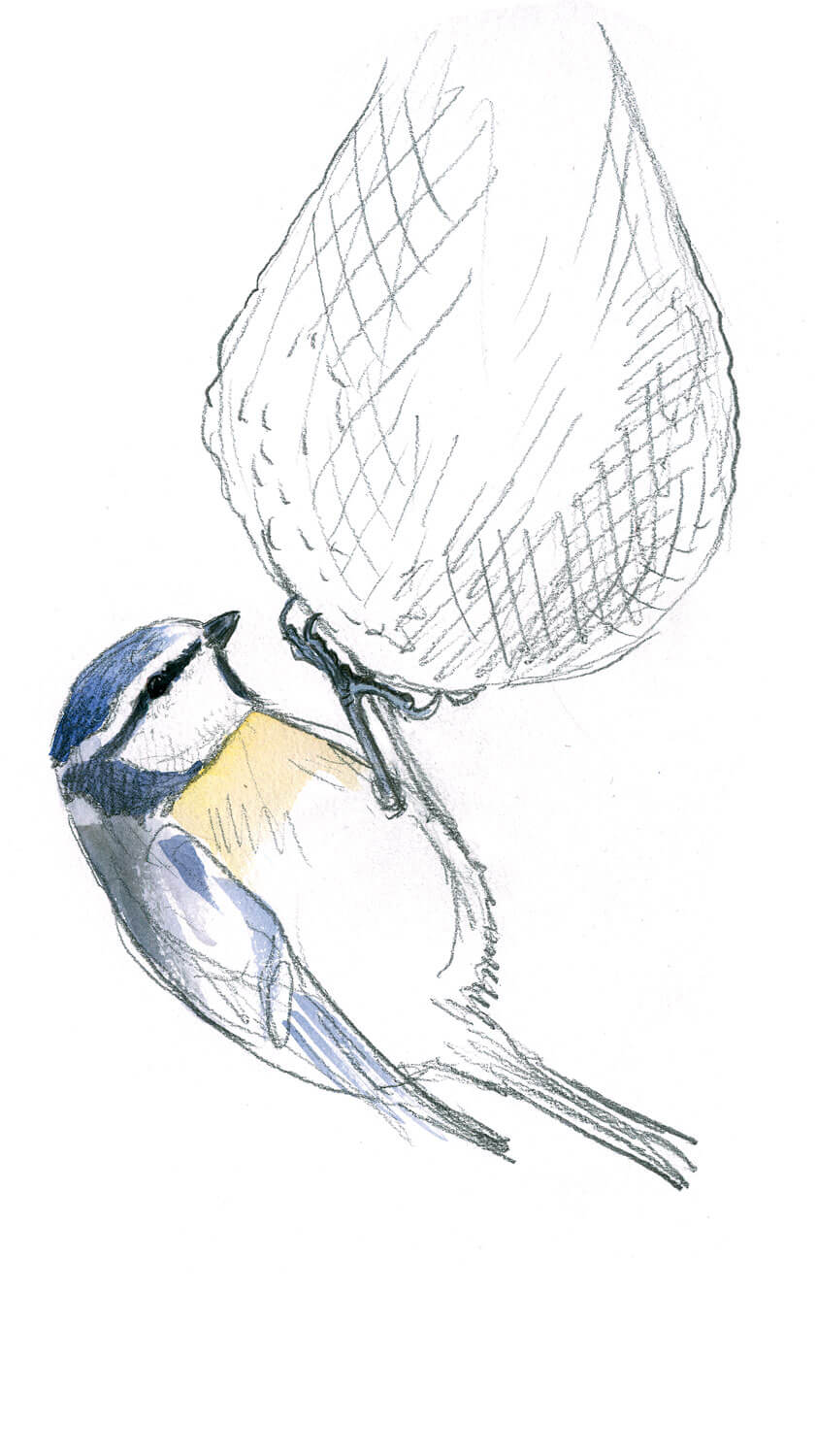 Mélange bleue sur une boule de graisse