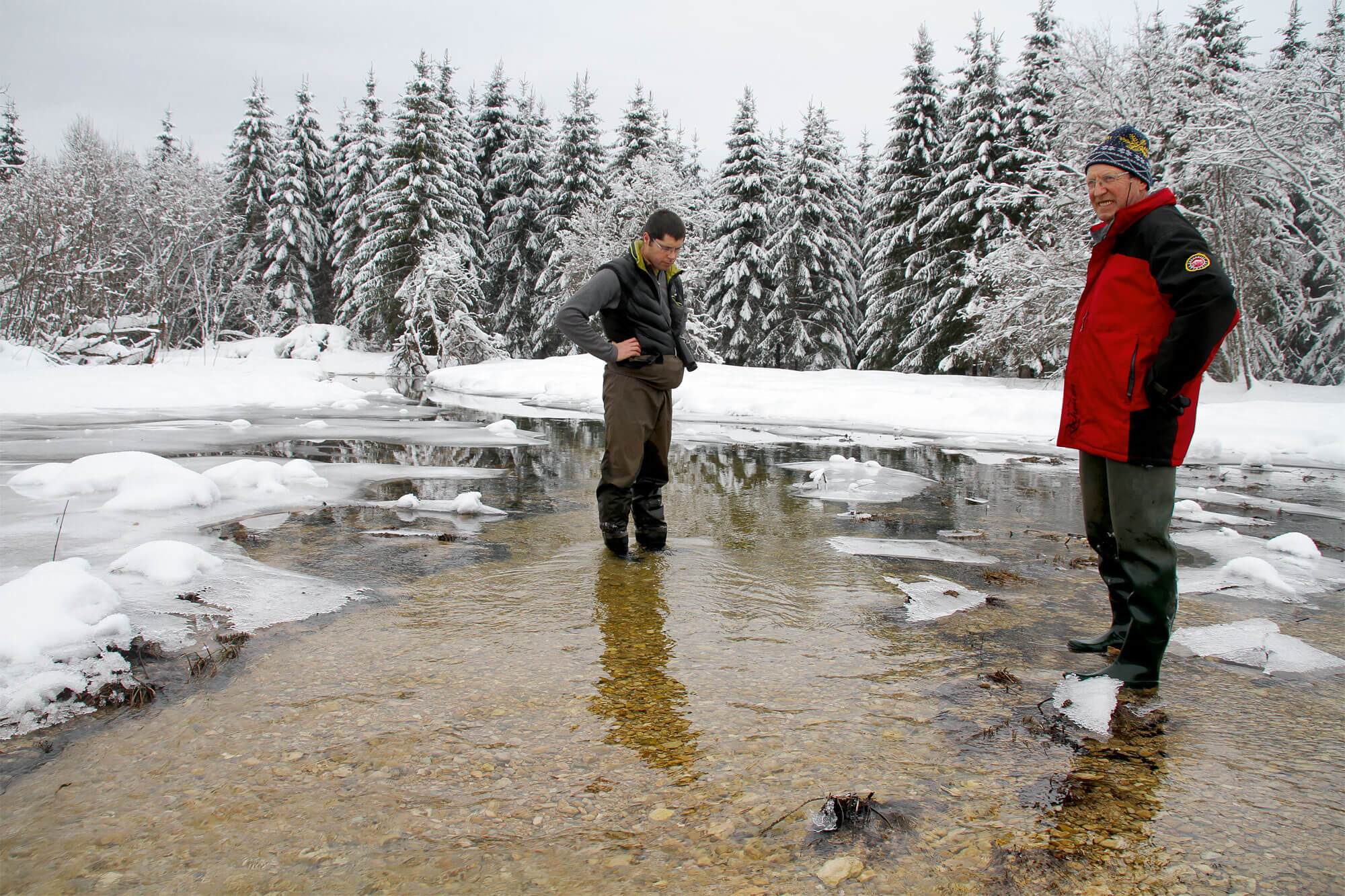 Dans le Haut-Jura, coule une rivière comme on Lemme