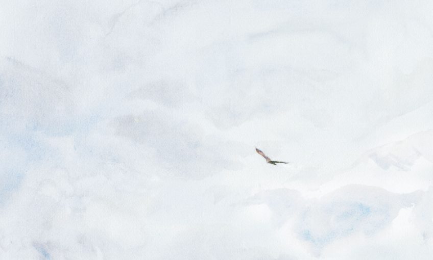 Denis Clavreul le peintre des aigles