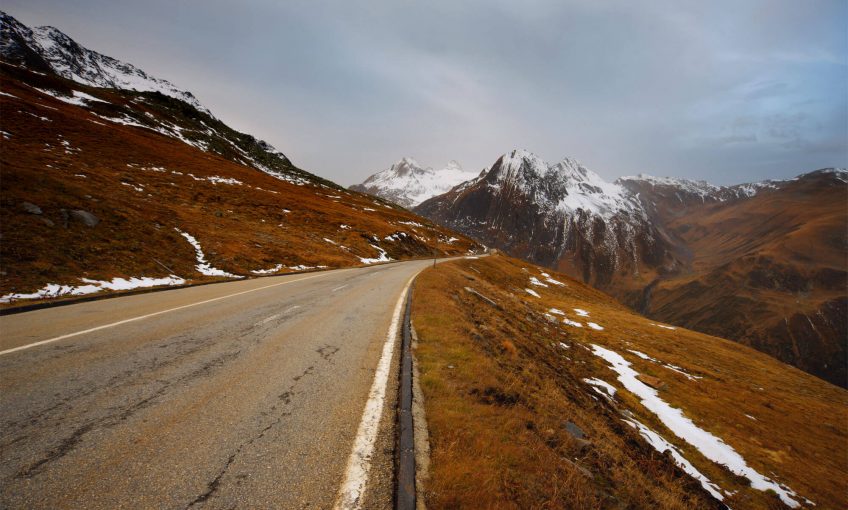 Plantes halophiles sur une route de montagne