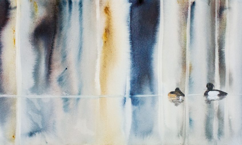 Aquarelle de morillons