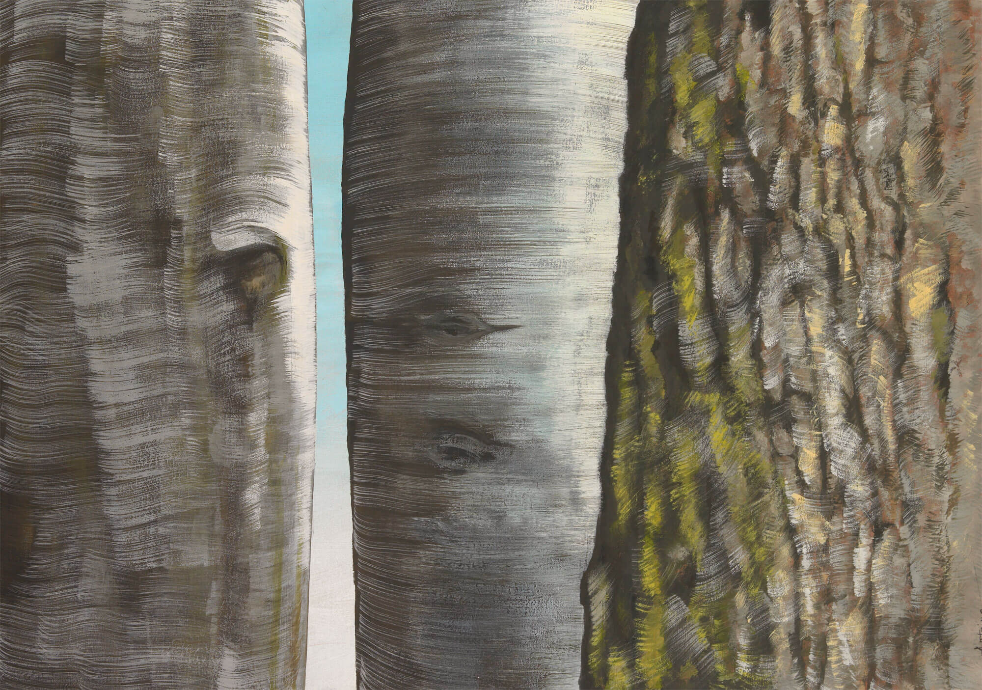 Dessin d'écorces d'arbres