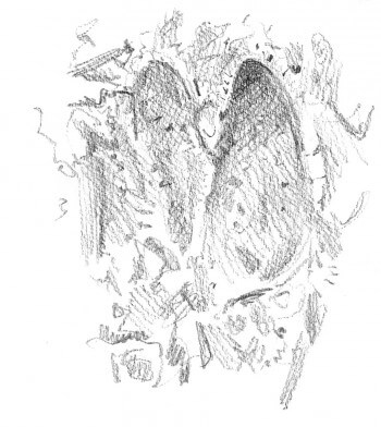 dessin d'empreinte de cerf