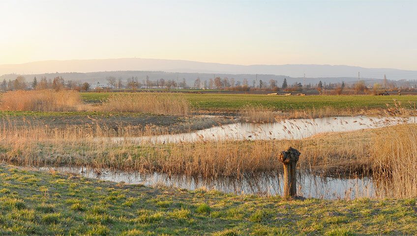 Photo du seeland