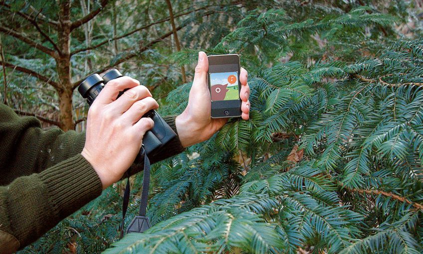 Application smartphone oiseaux