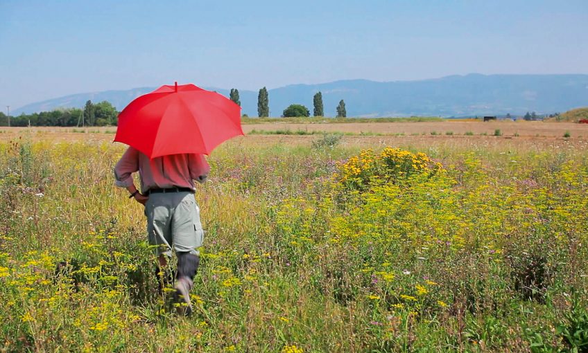 Philippe Grand dans sa friche d'exploration