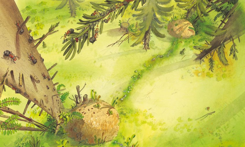 Dessin sur le travail des fourmis