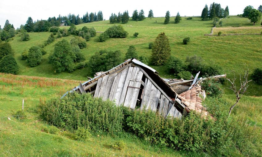 Déprise agricole