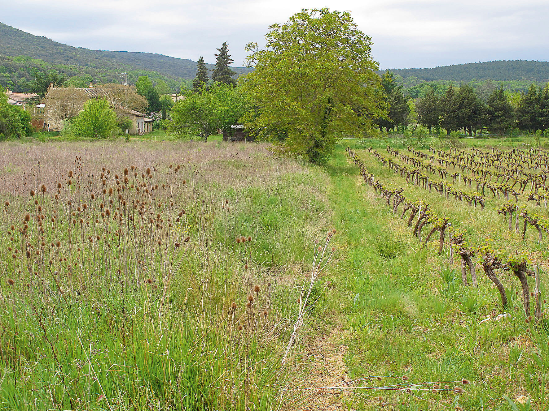 Déprise agricole