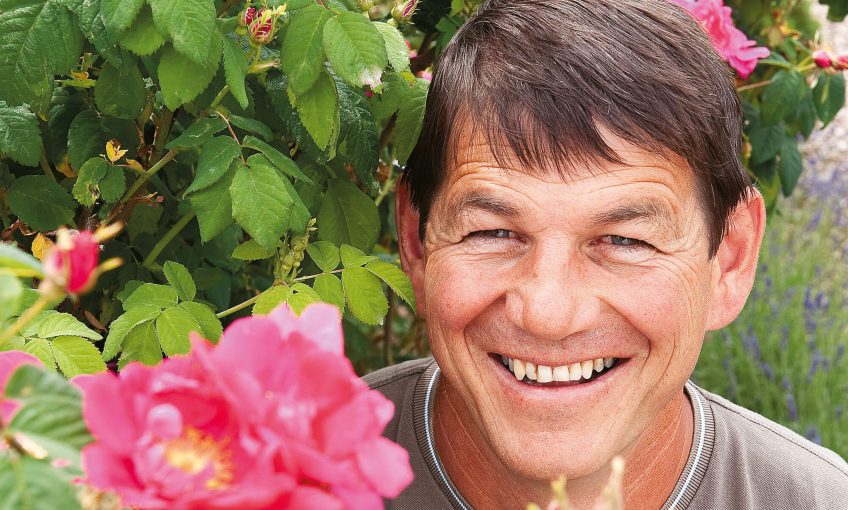 Alain Tschanz rosiériste