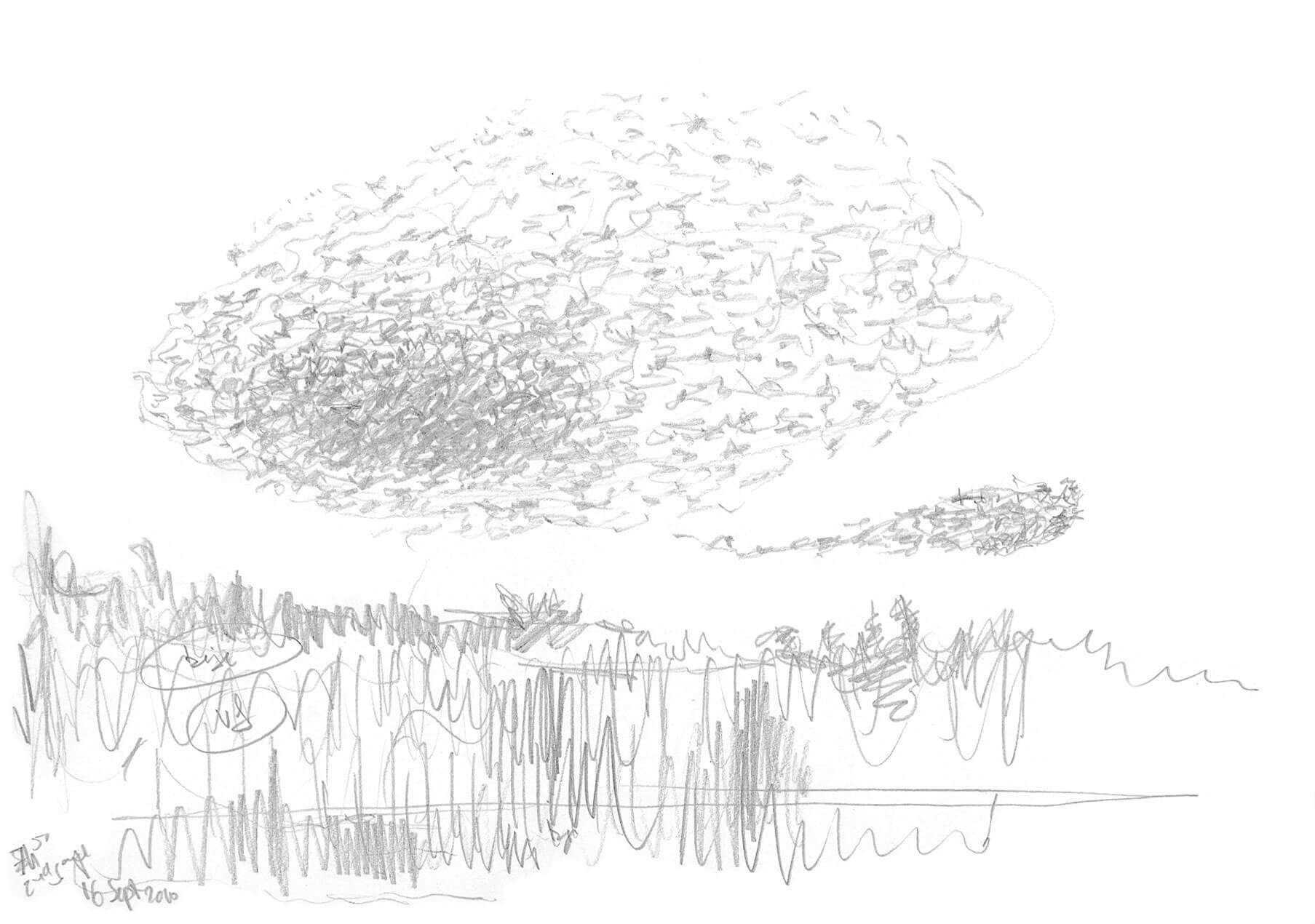 Dessin nature étourneaux en vol