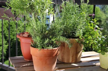 Offrez-vous un balcon nature