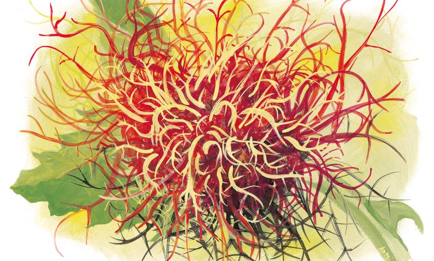Dessin nature bédégar