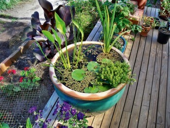 Offrez-vous un balcon nature